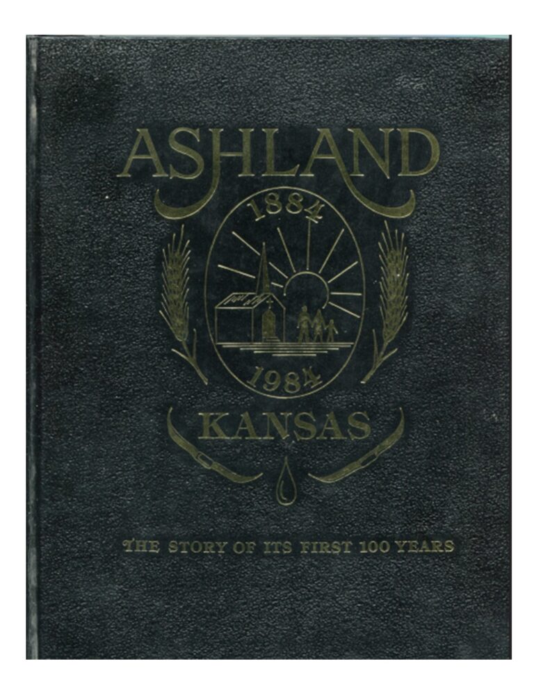 Community Book 1884-1984 PDF