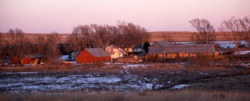 ranching_shattuck_color